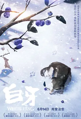 美国伦理大美女2